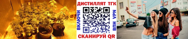 Дистиллят ТГК концентрат  hydra tor  Донской 