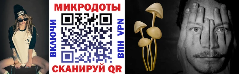 Галлюциногенные грибы Magic Shrooms  Донской 